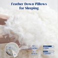 thumbnail image 3 of Almohada Puredown Queen de 51 x 76 cm, 95% plumas de ganso, paquete de 2, 3 of 7