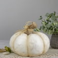 thumbnail image 2 of Northlight 11" Cream Gourd Fall Harvest Tabletop Decoration, 2 of 4
