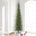 thumbnail image 5 of Vickerman 8.5' Bixley Pencil Fir Artificial Christmas Tree, Unlit, 5 of 5