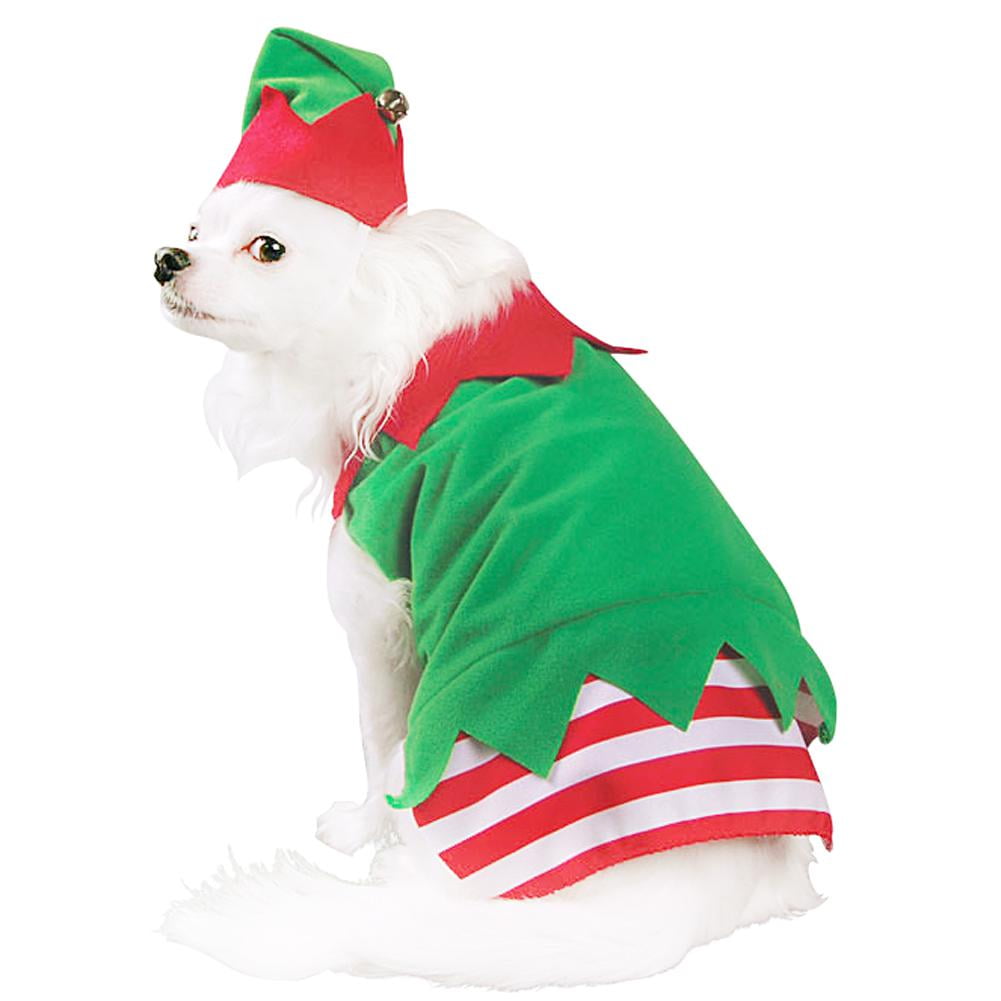 dog in elf costume