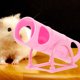 thumbnail image 1 of unbranded Creative Pink Plastic Hamster Tunnel with Seesaw for Small Pet Exercise and Amusement, 1 of 7