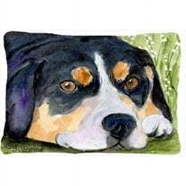 Carolines Treasures  Entlebucher Mountain Dog Decorative Indoor & Outdoor Fabric Pillow