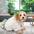 thumbnail image 4 of Otoño Invierno Poliéster Verde Claro Espesar Hermosa Suave Cómoda Ropa para Mascotas Abrigo Cálido Ropa para Perros, 4 of 8
