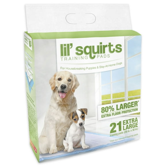 RUFFIN' IT Training Pads for Housebreaking Puppies, X-Large (21 Pads)