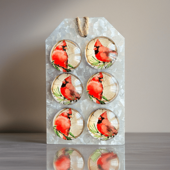 Rustic Cardinal Bird Art Magnet Set of 6 w/ Galvanized Metal Hanging Holder