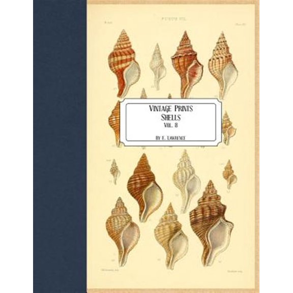 Pre-Owned Vintage Prints: Shells: Vol. 8 (Paperback) by E Lawrence