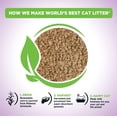 thumbnail image 2 of La mejor arena para gatos del mundo con aroma a lavanda para varios gatos, 14,5 kg, 2 of 7