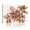 D, variant on XaaKee Coppery Bud Sprig Art Prints Nature Flower Transitional Canvas Wall Art Prints Inner Framed 18*12Inch