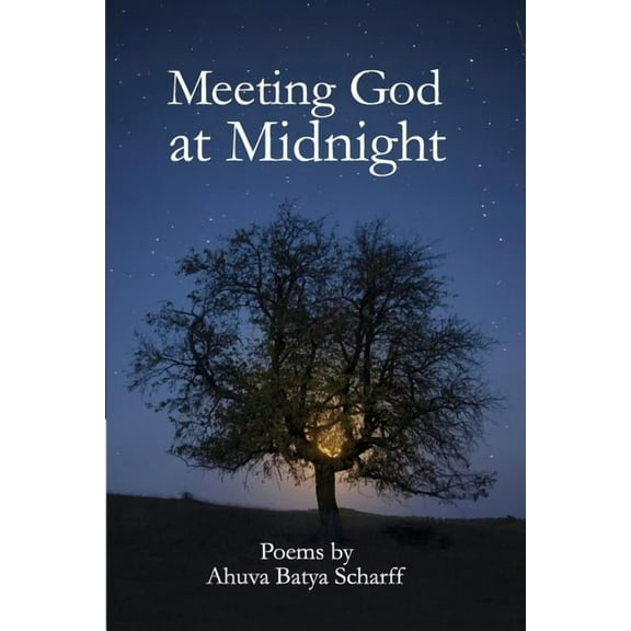 Meeting God at Midnight (Paperback)