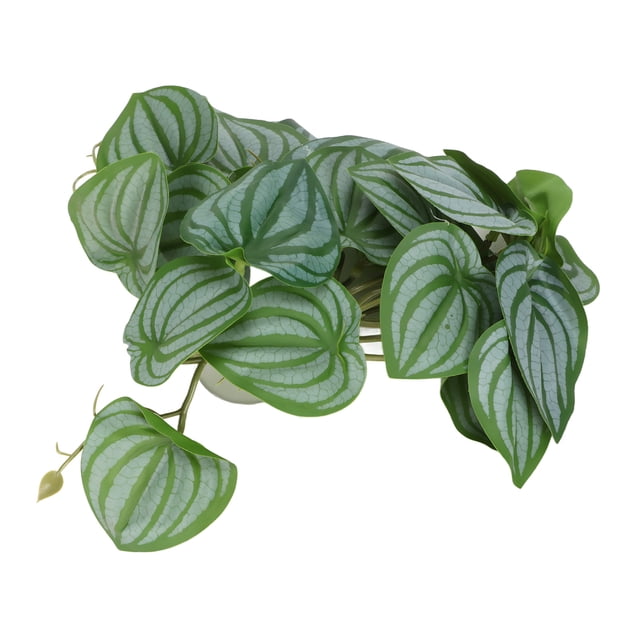 Fake Leaves, Reptile Simulation Leaves Decoration Adding Fun 9.8in Fade Resistant pour Aquarium