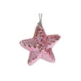 thumbnail image 1 of Sparkly Glass Star Ornament - Set of 2, 1 of 4