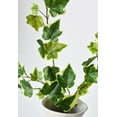 thumbnail image 5 of 25" Faux  Variegated Green Ivy Stem, 5 of 5