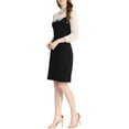thumbnail image 4 of Allegra K Women's Elegant Peter Pan Contrast Chiffon Panel Mesh Long Sleeves A-Line Dress, 4 of 6