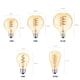 thumbnail image 2 of Bombillas de luz Edison de filamento LED COB lámpara Edison decorativa E27 110V 220V A60 ST64 G80 G95 G125 reemplazar bombilla incandescente Vintage Xemadio 2021230-4, 2 of 8