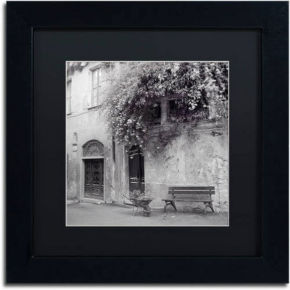 Trademark Fine Art "Liguria I" Canvas Art by Alan Blaustein, Black Matte, Black Frame