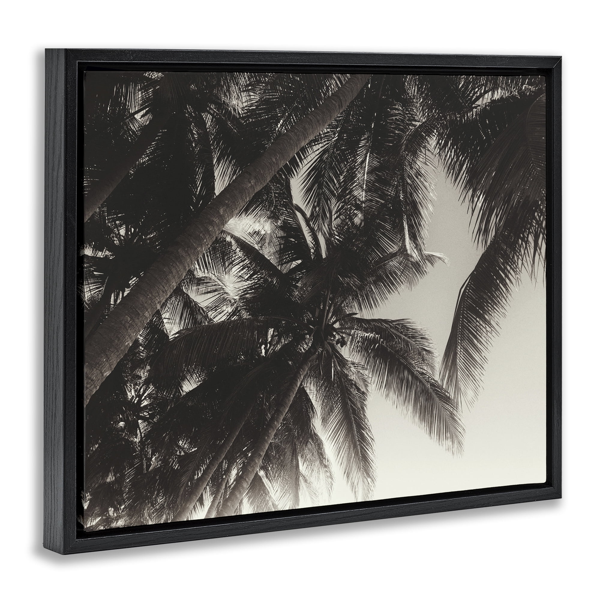 Stupell Industries Dark Palm Leaves Botanical & Floral Photography Black Floater Framed Canvas Art Print Wall Art, 31 x 25