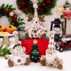 thumbnail image 2 of Juego de 3 adornos navideños XINYU para árbol de Navidad muñecos de nieve renos Papá Noel, 2 of 7