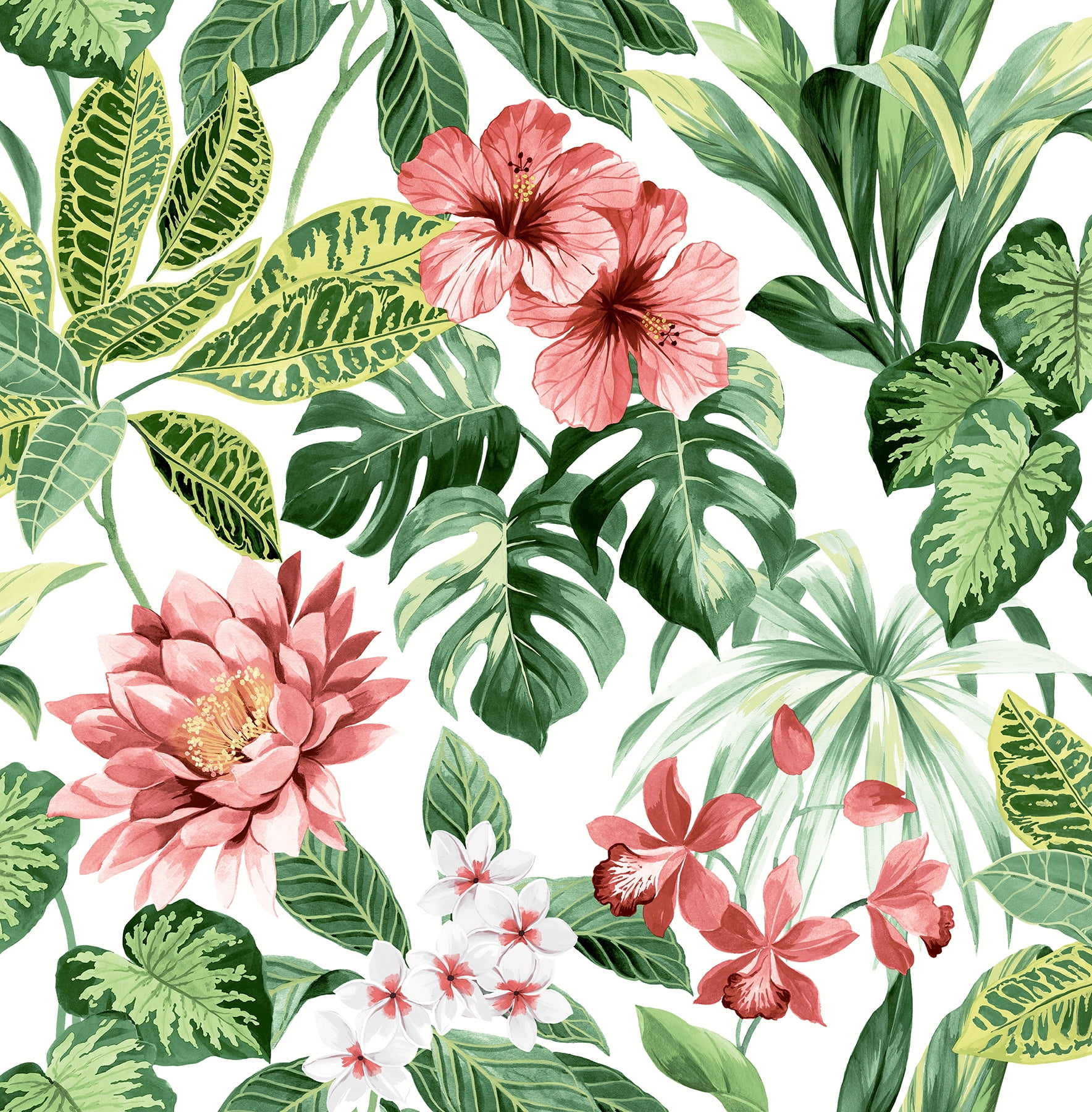 Brewster Josefa Green Tropical Wallpaper