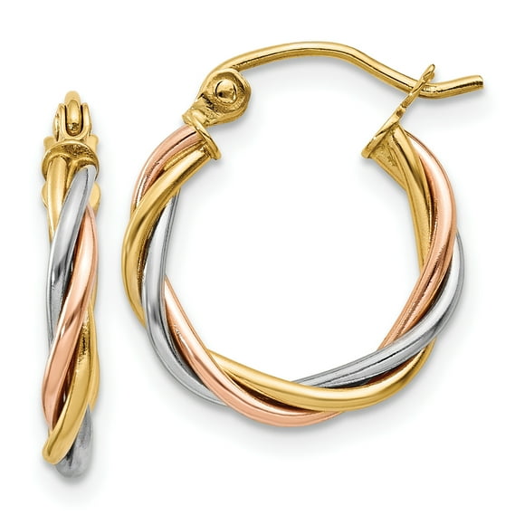 14k Tri-color Polished 2.5mm Twisted Hoop Earrings TE232