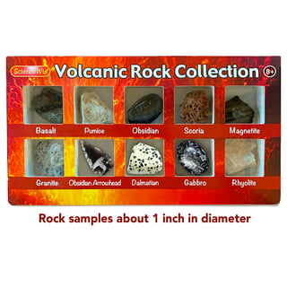 24PC Rock Mineral Collection w/Display Case Science Speciman Geography For  Kids