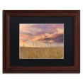 thumbnail image 2 of Trademark Fine Art "Beachgrass Sunrise" Canvas Art by Michael Blanchette Photography Black Matte, Wood Frame, 2 of 3