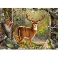 thumbnail image 2 of Backcountry Buck 1000 Piece Jigsaw Puzzle, 2 of 5