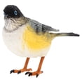 thumbnail image 4 of unbranded Bird Model Lifelong Simulation Bird Multi-colored PVC 1 Pair, 4 of 7