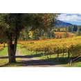 thumbnail image 2 of Rita Crane 40x28 Gallery Wrapped Canvas Wall Art Titled - Oak and Vine I, 2 of 4