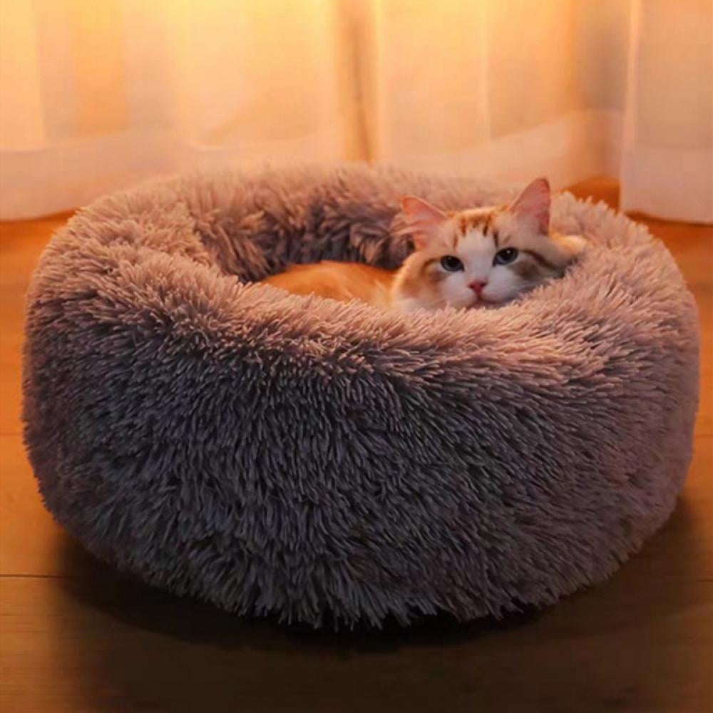 calming beds for cats