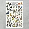 thumbnail image 2 of Tennessee's Backyard Birds Poster - Tennessee Bird Chart Highlighting Birds At Your Bird Feeder, 2 of 6