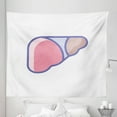 thumbnail image 1 of Anatomy Tapestry, Functional Organ Liver Figure Blood Filter of the Body Illustration, Fabric Wall Hanging Decor for Bedroom Living Room Dorm, 5 Sizes, White Pink and Ceil Blue, by Ambesonne, 1 of 1