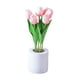 thumbnail image 2 of Luz de noche Salvador Decoración moderna Lámpara de mesa de noche Lámpara de escritorio LED Rosa, 2 of 10