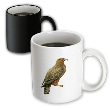 Brown Large Mug (3dRose Victorian Era Bird of Prey Illustration Large Reddish Brown Bird, Magic Transforming Mug,)