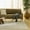 Ivory, variant on Nourison Nordic 8' x 10' Ivory Modern Indoor Rug