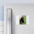 thumbnail image 3 of CafePress - Gorilla Baby002 Magnets - Rectangle Magnet, 2"x3" Refrigerator Magnet, 3 of 3