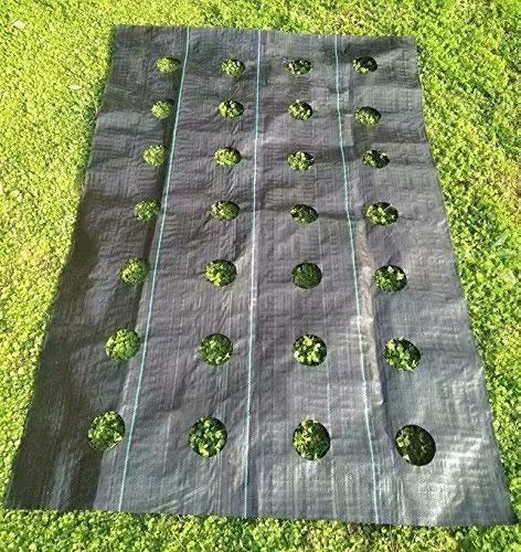 Agfabric Easy-Plant Weed Block for Raised Bed Outdoor Garden Weed Rugs Garden mat 3.0oz, 3'x12',with Planting Hole Dia 6" - image 4 of 6