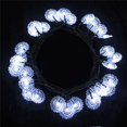 thumbnail image 1 of Aleko SL30LEDSUN-UNB 20 ft. 30 LED White Sunflower Garden String Lights - Christmas & Holiday, 1 of 1