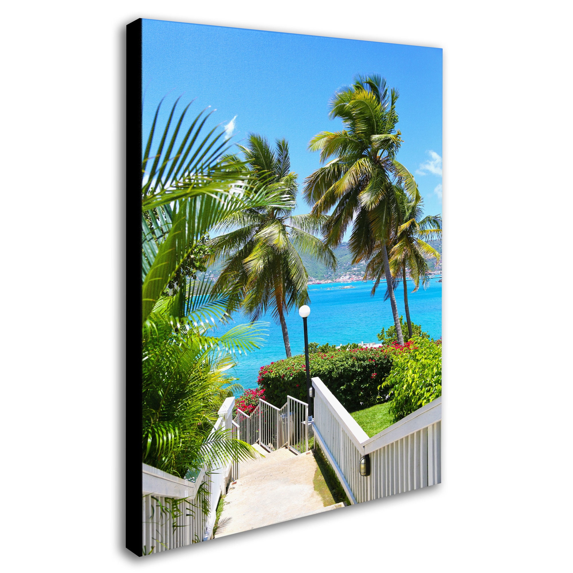 Trademark Fine Art "Virgin Islands 3" Canvas Art by CATeyes