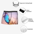 thumbnail image 3 of Bingfone Morpho butterfly and dandelion Men's Underwear - Casual Stretch Boxer Briefs-X-Large, 3 of 5
