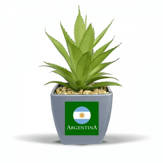 Argentine Football South American Flag Fake Pineapple Flower Pot Vase Mini Decor
