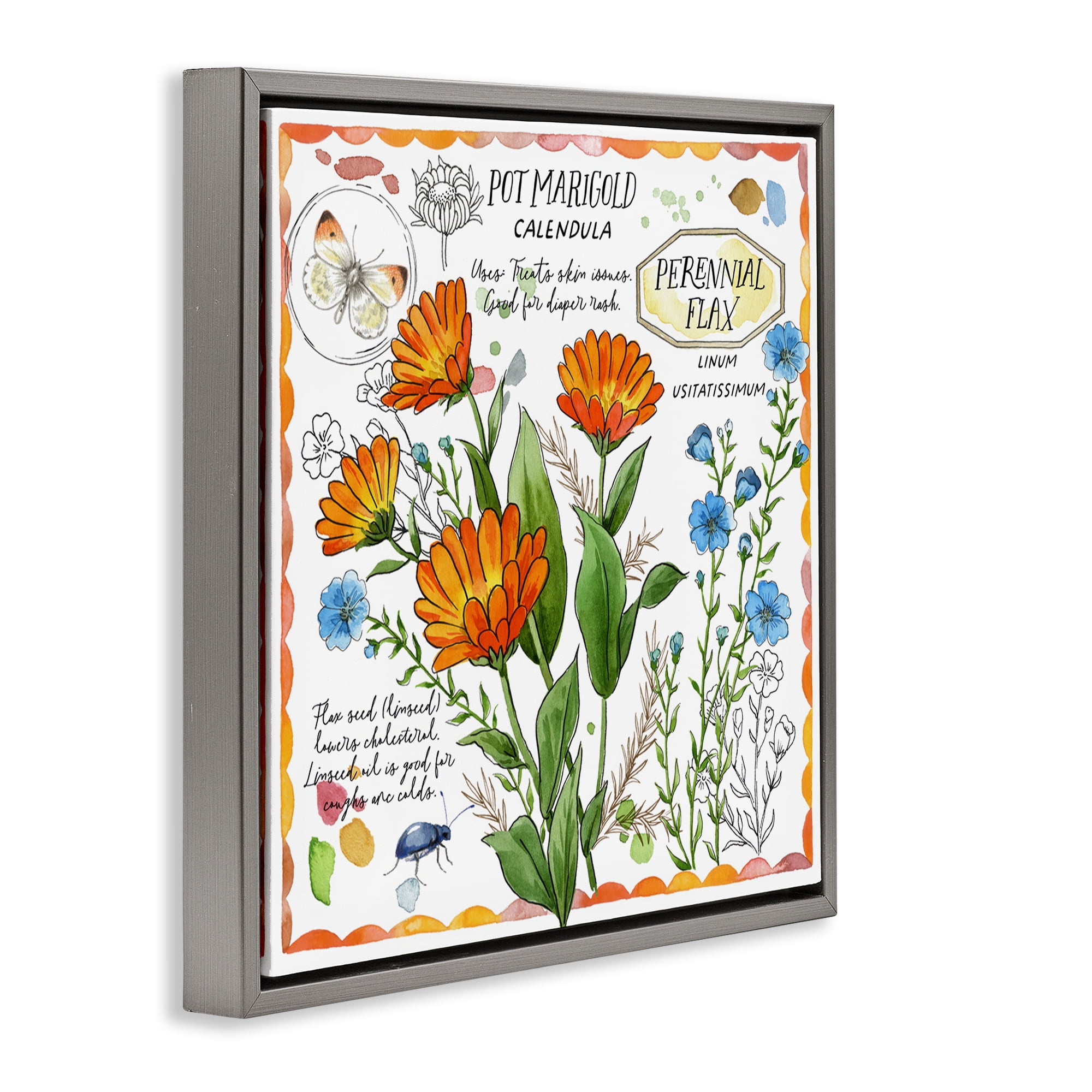 Stupell Industries Country Herb Uses Plants & Flowers Painting Gray Floater Framed Canvas Art Print Wall Art, 25 x 25