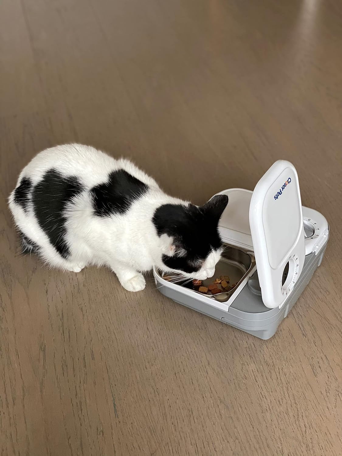 C200 Automatic Cat Feeder with Stainless Steel Bowls for Cats and Small Dogs