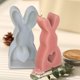 thumbnail image 1 of 2 uds moldes para velas de conejito molde portátil de conejo molde para jabón de cera moldes para velas de animales, 1 of 5
