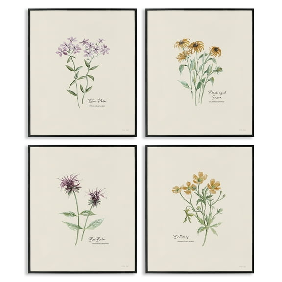 Stupell Industries Simple Wildflower Studies Plants & Flowers Painting Black Framed Art Print Wall Art, 11 x 14, Set of 4