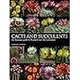 thumbnail image 3 of Cacti and Succulents, 3 of 3