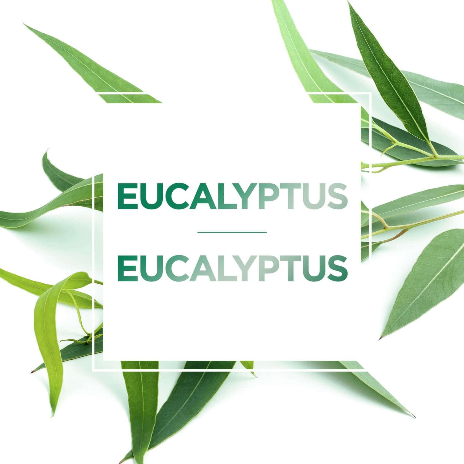 L'Oréal Paris Pure-Clay Masque nettoyant avec 3 Argiles Minérales + Eucalyptus pour peau grasse, 50 ml