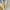 Gold, variant on AXXD Black Sandals for Women Clearance Under $10 New Summer Flat Shoes Over Sandals Casual Open Toe
