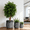 Dark Gray, variant on Planters Set of 3, Big Round Outdoor Indoor Garden Pots with Drainage Hole & Rubber Plug, 17/13/9 Inch Diameter, Large Indoor Flower Pot, Planter Set, Large Urn Planter, Bonsai Planter