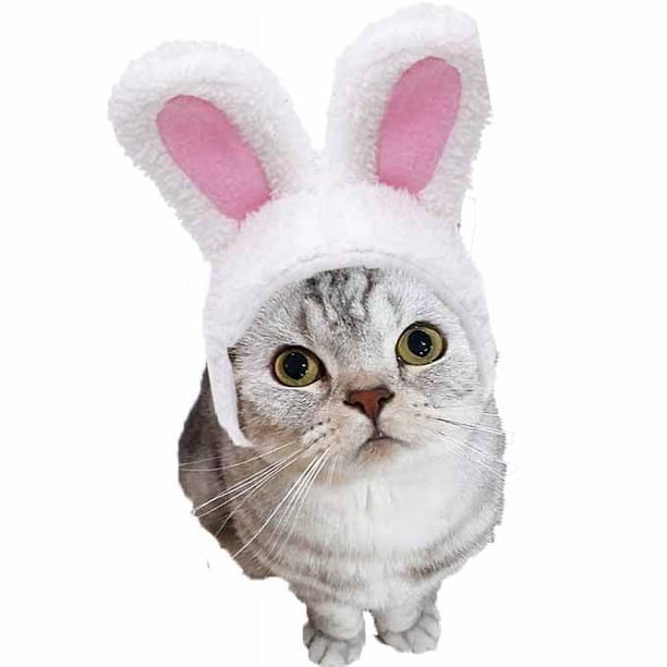 JANDEL 1 gorro adorable para mascota, divertido gorro con orejas de conejo para gato, perro, conejo, accesorios de fiesta para disfraz, gorro para gato, gatito, cachorro, mascota, materiales seguros