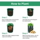 thumbnail image 4 of Zhuge Bolsas para cultivo de patatas, 10 galones, 8 paquetes, bolsas de cultivo gruesas y resistentes con ventana y asas (verde oscuro), 4 of 5